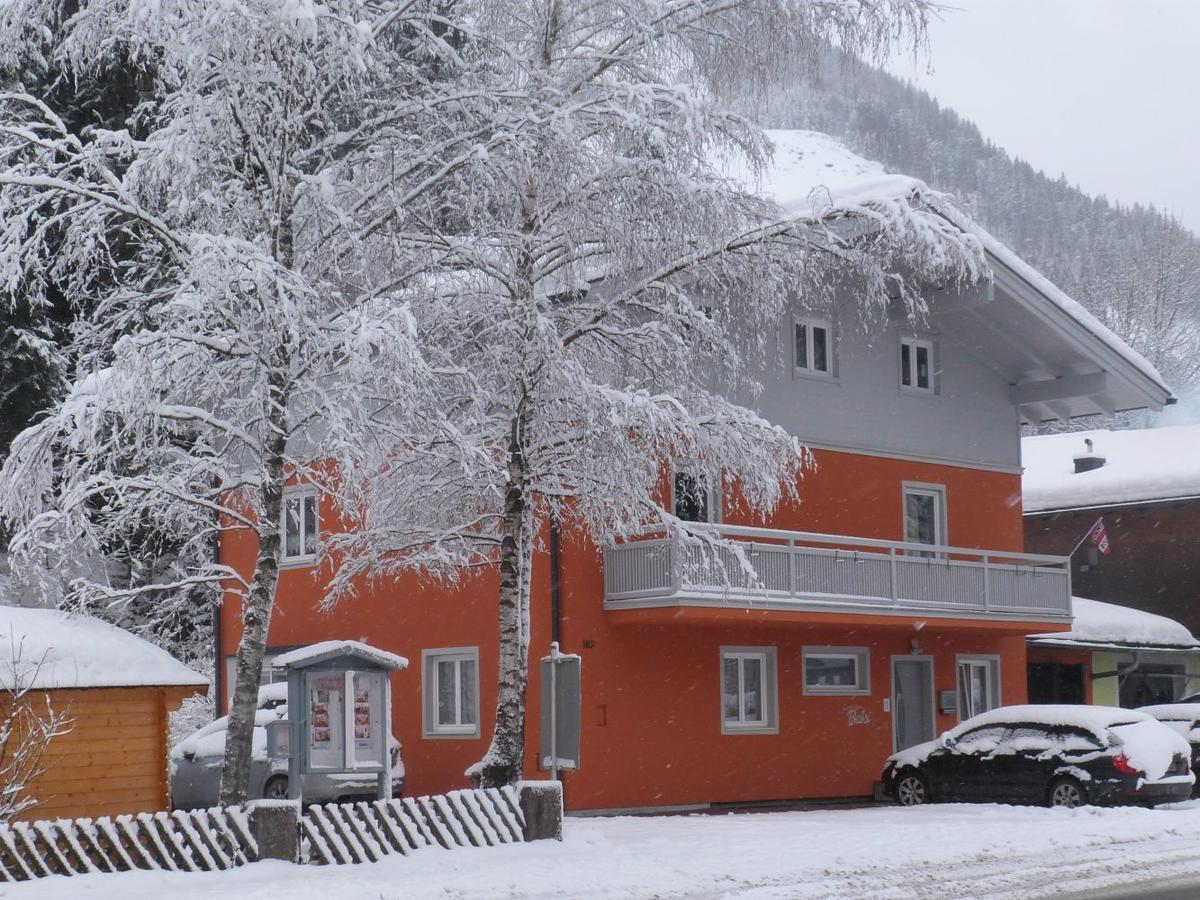 Alpen Appartements Viehhofen - Incl Sommercard Zell Am See Viehhofen Exterior photo