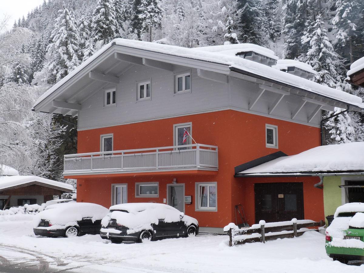Alpen Appartements Viehhofen - Incl Sommercard Zell Am See Viehhofen Exterior photo