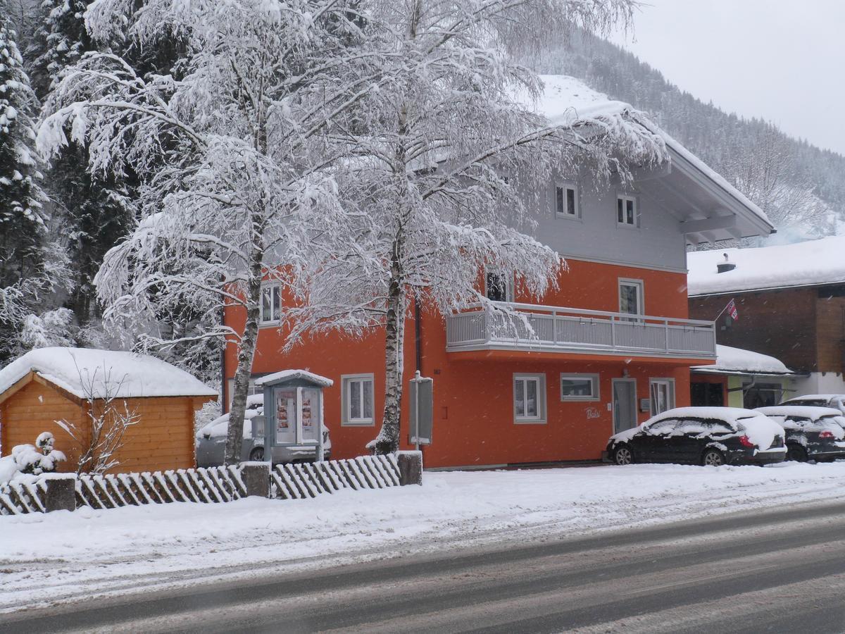 Alpen Appartements Viehhofen - Incl Sommercard Zell Am See Viehhofen Exterior photo
